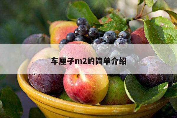 车厘子m2的简单介绍