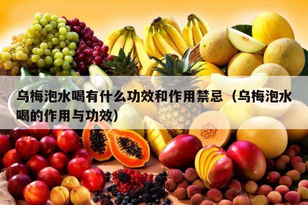 乌梅泡水喝有什么功效和作用禁忌（乌梅泡水喝的作用与功效）
