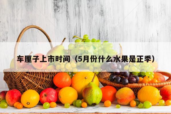 车厘子上市时间（5月份什么水果是正季）