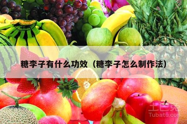 糖李子有什么功效（糖李子怎么制作法）