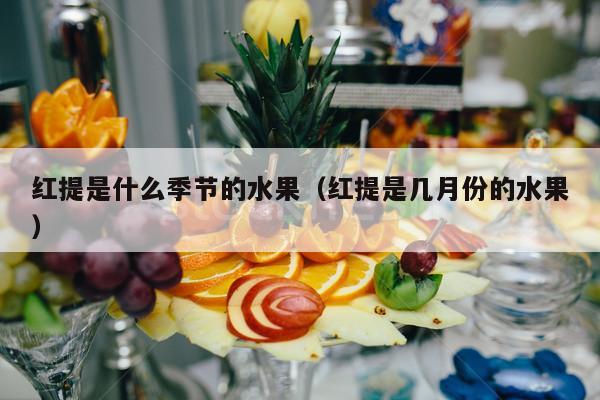 红提是什么季节的水果（红提是几月份的水果）