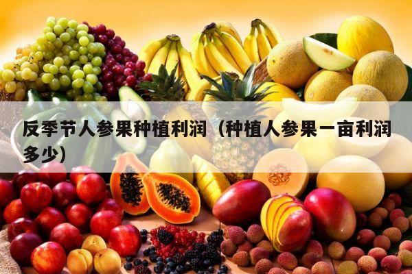 反季节人参果种植利润（种植人参果一亩利润多少）