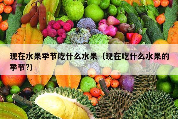 现在水果季节吃什么水果（现在吃什么水果的季节?）