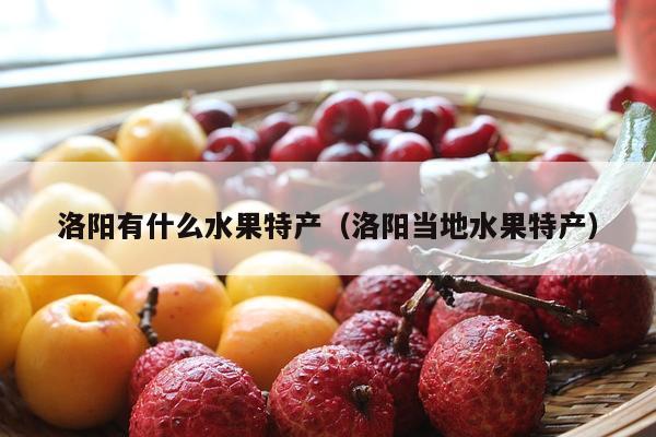 洛阳有什么水果特产（洛阳当地水果特产）
