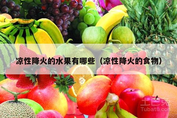 凉性降火的水果有哪些（凉性降火的食物）