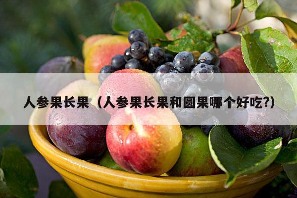人参果长果（人参果长果和圆果哪个好吃?）