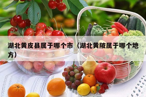 湖北黄皮县属于哪个市（湖北黄陂属于哪个地方）