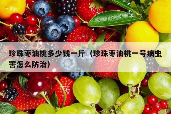 珍珠枣油桃多少钱一斤（珍珠枣油桃一号病虫害怎么防治）