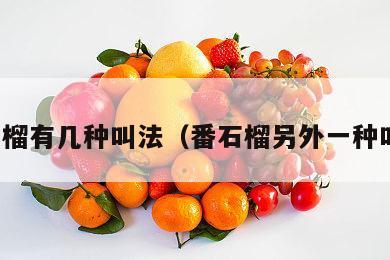 番石榴有几种叫法（番石榴另外一种叫法）