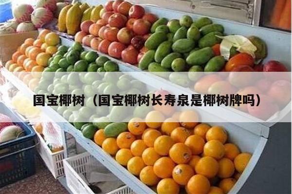国宝椰树（国宝椰树长寿泉是椰树牌吗）