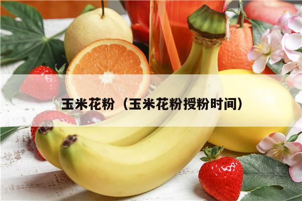 玉米花粉（玉米花粉授粉时间）