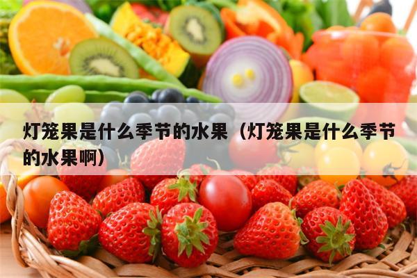 灯笼果是什么季节的水果（灯笼果是什么季节的水果啊）