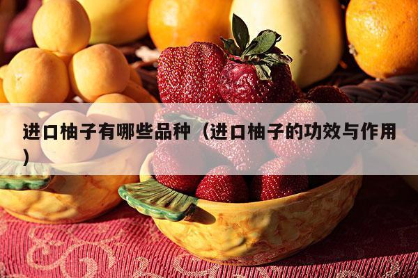进口柚子有哪些品种（进口柚子的功效与作用）