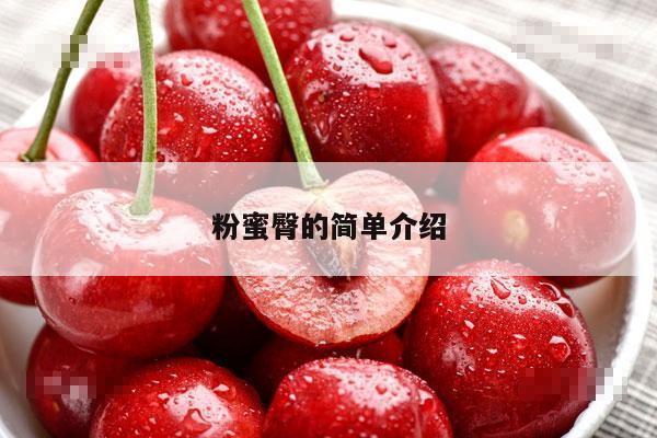 粉蜜臀的简单介绍