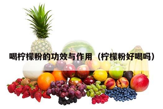 喝柠檬粉的功效与作用（柠檬粉好喝吗）