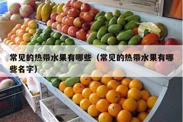 常见的热带水果有哪些（常见的热带水果有哪些名字）