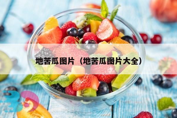 地苦瓜图片（地苦瓜图片大全）