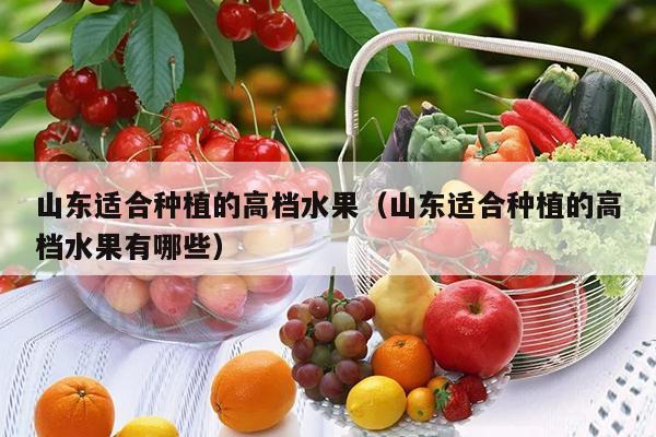 山东适合种植的高档水果（山东适合种植的高档水果有哪些）