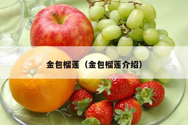 金包榴莲（金包榴莲介绍）