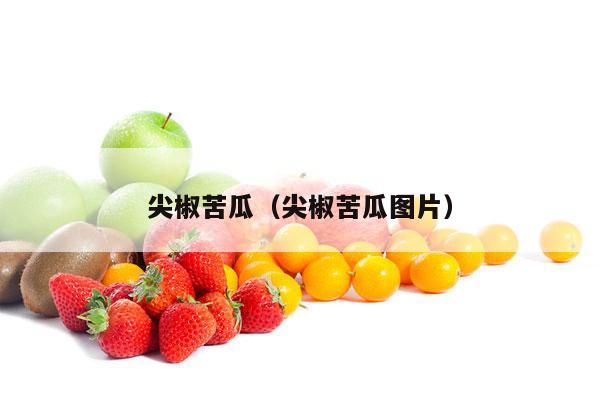 尖椒苦瓜（尖椒苦瓜图片）