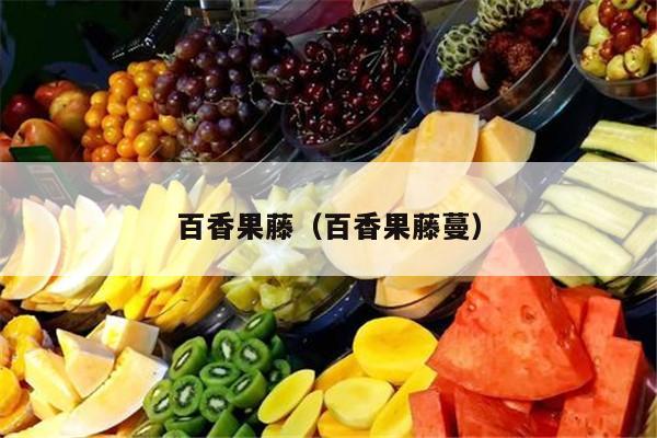 百香果藤（百香果藤蔓）