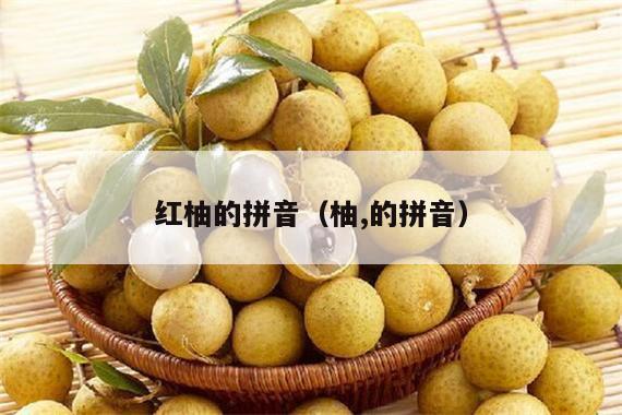 红柚的拼音（柚,的拼音）