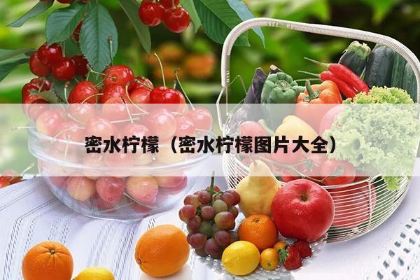 密水柠檬（密水柠檬图片大全）