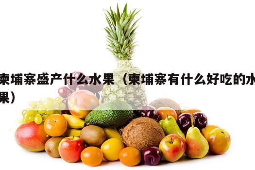柬埔寨盛产什么水果（柬埔寨有什么好吃的水果）