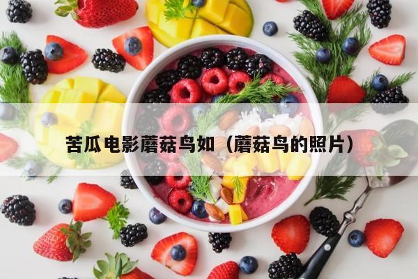 苦瓜电影蘑菇鸟如（蘑菇鸟的照片）