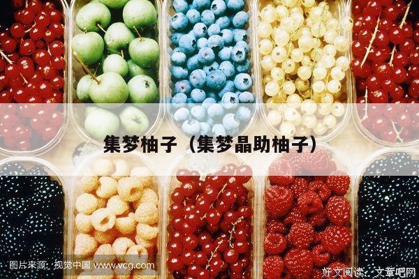 集梦柚子（集梦晶助柚子）