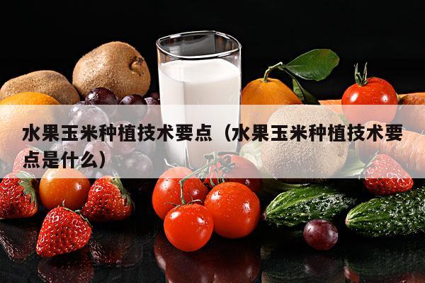 水果玉米种植技术要点（水果玉米种植技术要点是什么）