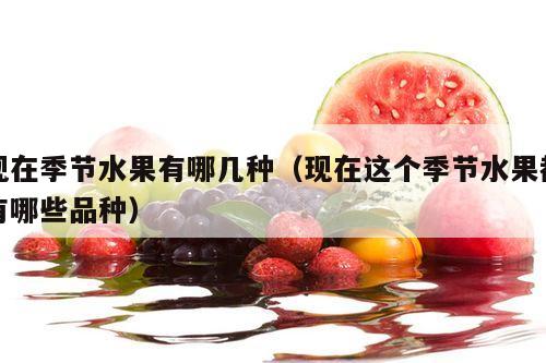 现在季节水果有哪几种（现在这个季节水果都有哪些品种）