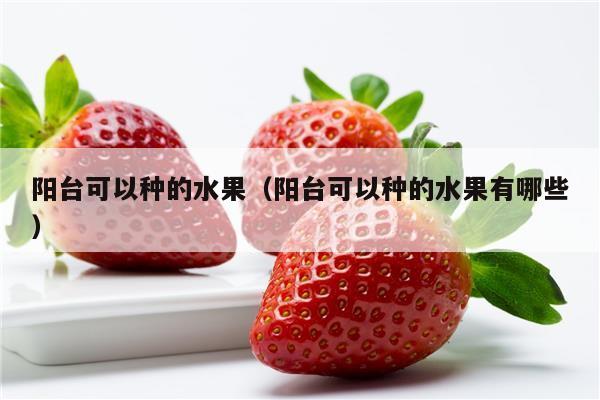 阳台可以种的水果（阳台可以种的水果有哪些）