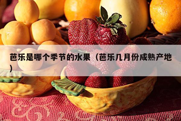 芭乐是哪个季节的水果（芭乐几月份成熟产地）