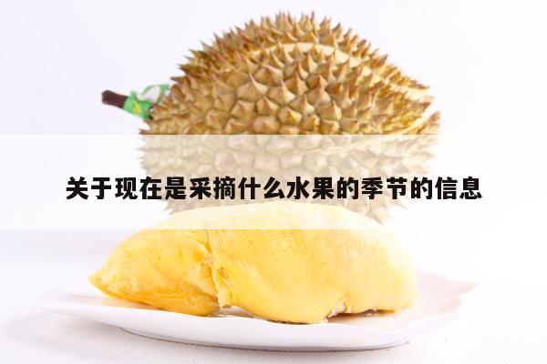 关于现在是采摘什么水果的季节的信息