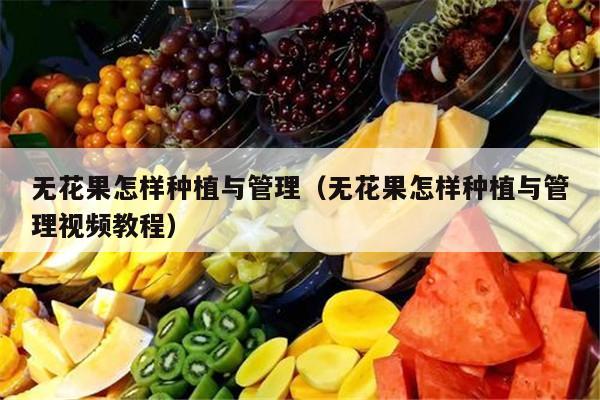 无花果怎样种植与管理（无花果怎样种植与管理视频教程）