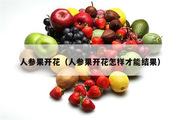 人参果开花（人参果开花怎样才能结果）