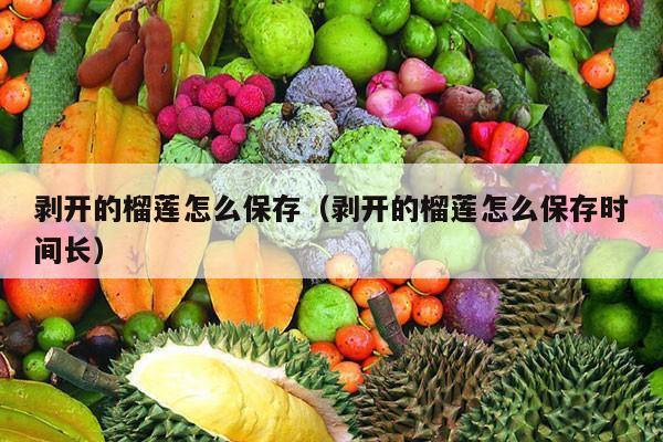 剥开的榴莲怎么保存（剥开的榴莲怎么保存时间长）