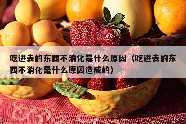 吃进去的东西不消化是什么原因（吃进去的东西不消化是什么原因造成的）