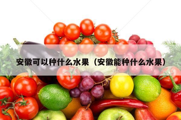 安徽可以种什么水果（安徽能种什么水果）