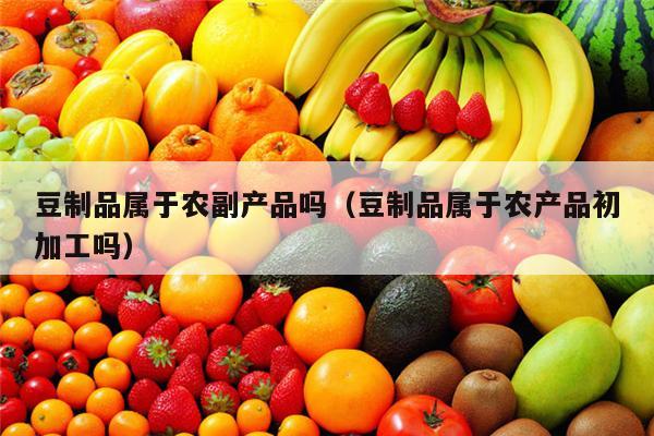 豆制品属于农副产品吗（豆制品属于农产品初加工吗）