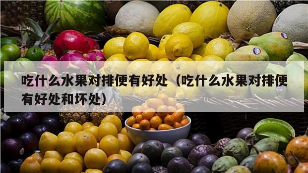 吃什么水果对排便有好处（吃什么水果对排便有好处和坏处）