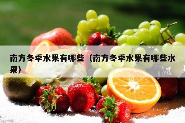 南方冬季水果有哪些（南方冬季水果有哪些水果）
