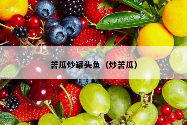 苦瓜炒罐头鱼（炒苦瓜）