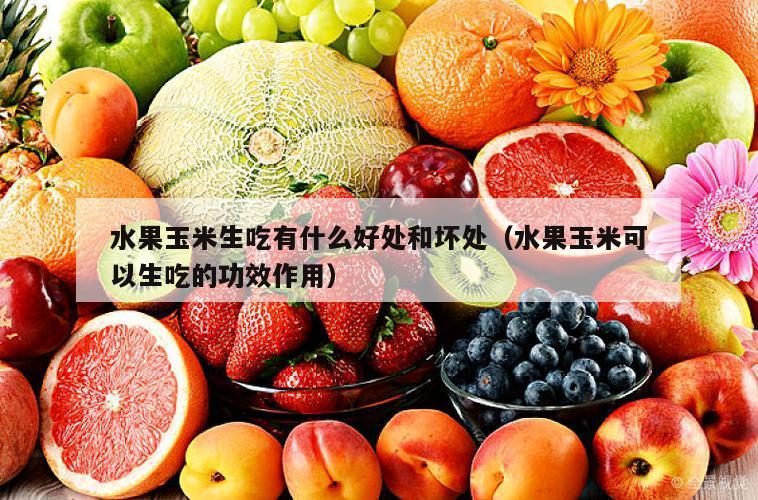 水果玉米生吃有什么好处和坏处（水果玉米可以生吃的功效作用）