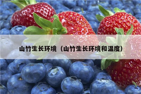 山竹生长环境（山竹生长环境和温度）
