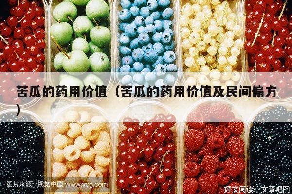苦瓜的药用价值（苦瓜的药用价值及民间偏方）