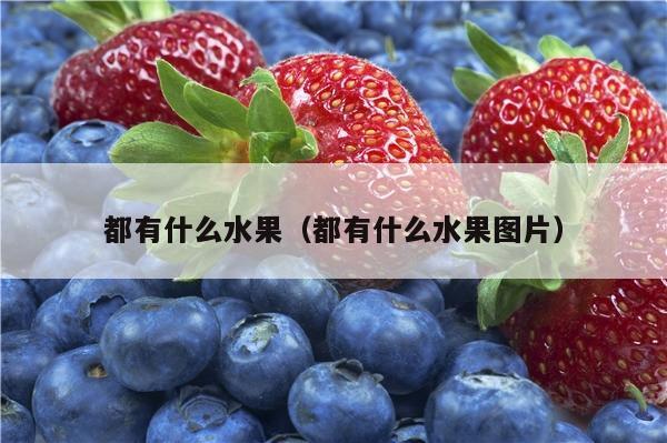 都有什么水果（都有什么水果图片）