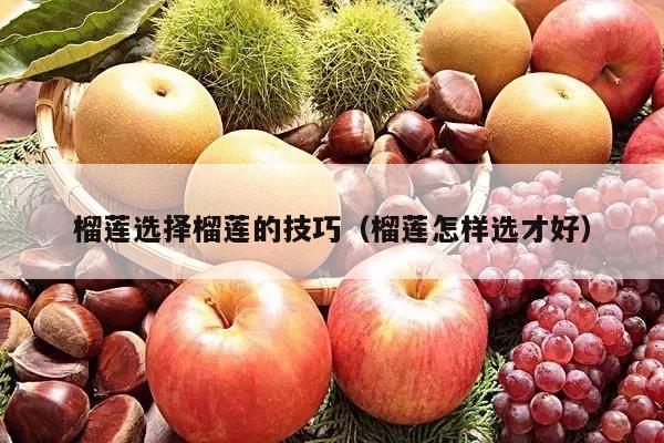 榴莲选择榴莲的技巧（榴莲怎样选才好）