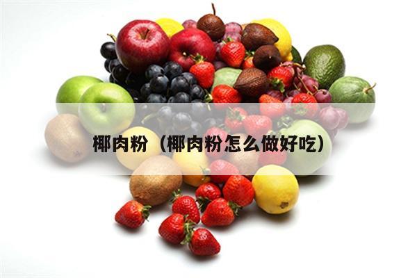 椰肉粉（椰肉粉怎么做好吃）